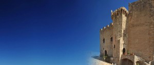 calabriaexcelsa-sfondo-gallery