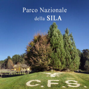 parco-nazionale-sila