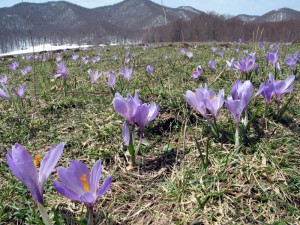 Parco Nazionale del Pollino