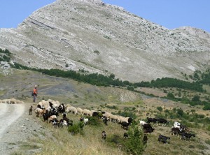 Parco Nazionale del Pollino