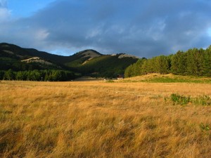 Parco Nazionale del Pollino