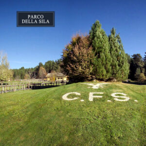 parco-nazionale-della-sila