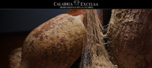 Museo Digitale della Calabria CALABRIAEXCELSA - Museo Cartografico e del Mare di Cetraro