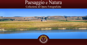 Museo Digitale della Calabria-Collezione del Paesaggio e Natura