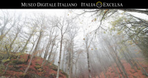 Chiusi della Verna - Santuario Francescano delle Stimmate della Verna - Museo Digitale Italiano - ITALIAEXCELSA