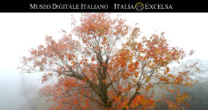 Chiusi della Verna - Santuario Francescano delle Stimmate della Verna - Museo Digitale Italiano - ITALIAEXCELSA